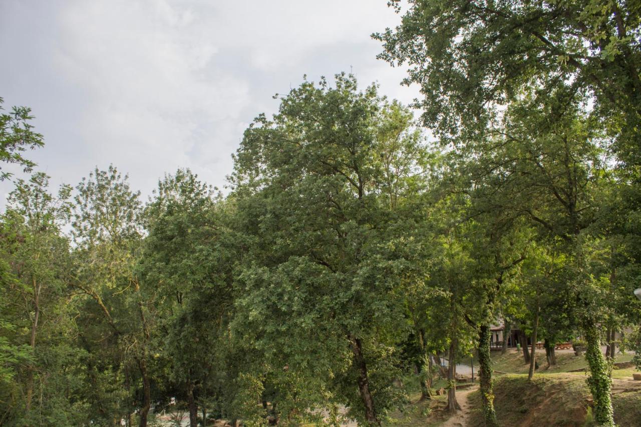 El Clar Del Bosc Hostel Pujarnol Buitenkant foto